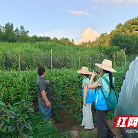 湖南汽车工程职业大学:把“大思政课”开在乡村沃土 以“赤擎”之力服务乡村振兴