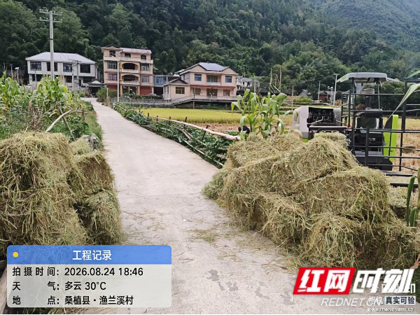张家界市农业农村局:紧盯关键节点扎实推进秸秆综合利用
