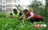工疗结合 以劳促康 保靖县探索残疾人帮扶新样板