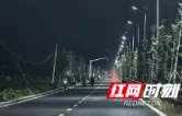 大通湖区河坝镇：一盏灯，带出为民“多件事”
