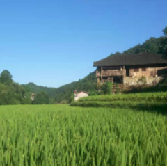 美文欣赏|桑植有个“汪大厨”