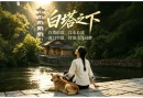 MV《白塔之下》 唱给边城茶峒的“情书”  