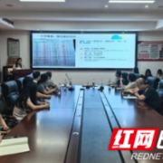 环城南路小学联片校开展暑期教师系列培训