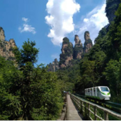 网评|山水踏浪盛夏热 张家界解锁文旅融合新图景