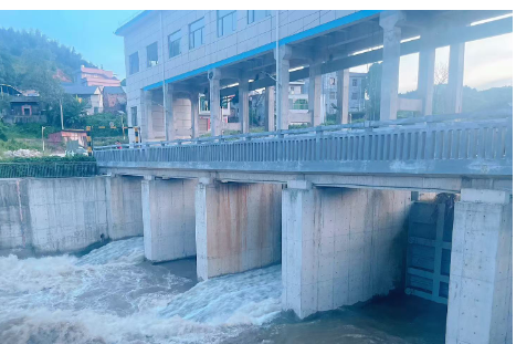 郴州水利系统高效应对台风“沙德尔”