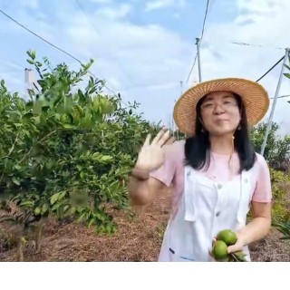 视频丨柑橘种植需要搭建防虫网，省水果体系专家来解答