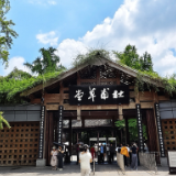 随笔丨途中说者：等高岳阳楼——杜甫草堂行记（一·上）