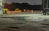 深夜两头牛“溜达”险上高速，湘阴东收费站半小时为牛寻主