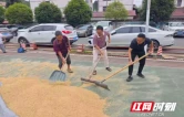 新晃：敞开阵地解民忧 干群携手护丰收
