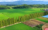 常宁：秋日乡村美如画