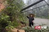 桂东县清泉镇：山雨挡道“她”先上