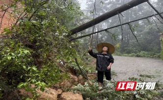 桂东县清泉镇：山雨挡道“她”先上