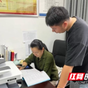 桃花源镇：“约”出来的和美乡村