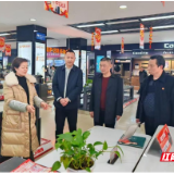 个私榜样 奋进新程⑪｜汉寿县个私协会：练好“内功”搭好台，烟火汉寿暖企行