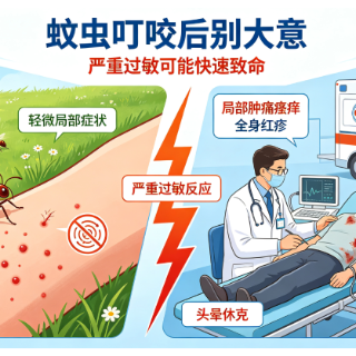 被蚂蚁咬伤后晕倒休克！南华医院专家提醒：这种过敏会致命