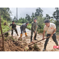 风雨中的抉择 ——记桂阳县莲塘镇田木村党支部书记胡庆国