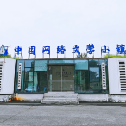 繁荣新大众文艺 月湖畔的这座小镇“码”力全开