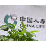 中国人寿携多款优质保险产品亮相“828·工银财富季”活动