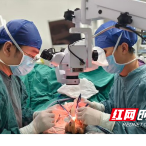 精细显微妙手再植!衡阳市中心医院成功救治多指离断患者