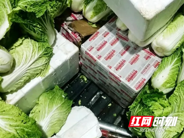 益阳高速横市中心收费站查获假冒绿通车辆