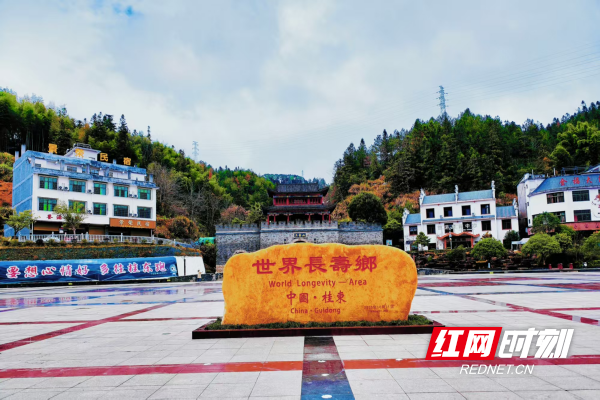 李伟3.png