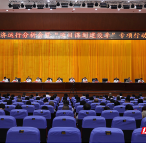 雁峰区召开经济运行分析会暨“项目谋划建设季”专项行动推进会议