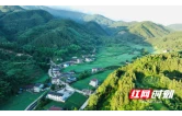 一粒富硒米的“逆袭”之路：从麻阳粮仓到上海餐桌，这片稻田藏不住了！