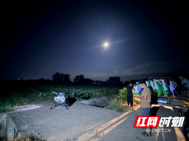 大通湖：科学管护田间 夯实秋粮丰收基础