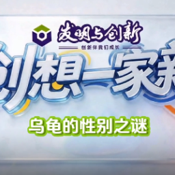 《创想一家“新”》科普动漫①｜乌龟的性别之谜