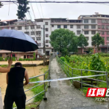 炎陵县霞阳镇：闻汛而动、向险而行 他们抢在桥塌之前