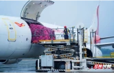岳阳三荷机场航空口岸正式进入常态化运营阶段