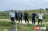 湘西州人大常委会到吉首市米坡村调研指导工作
