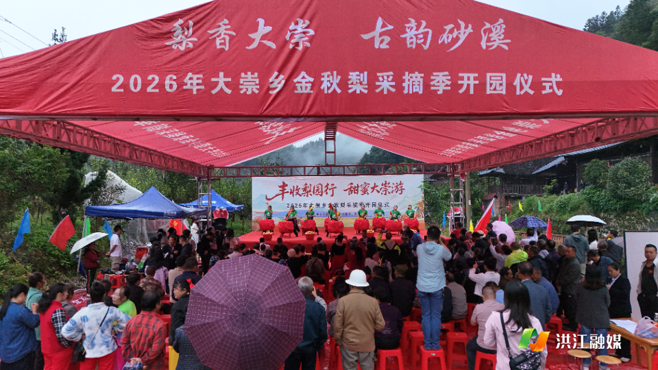 千亩梨园迎丰收 大崇乡以梨为媒铺就致富路
