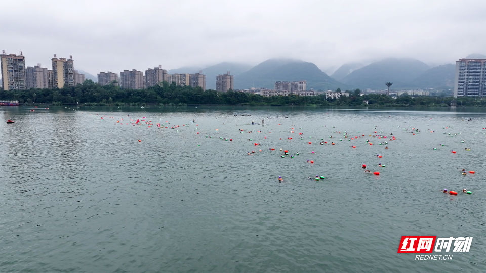 活动图片 (6).png