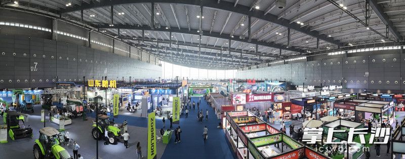 9月5日至7日，第八届中国粮食交易大会在长沙举办，这是大会自2018年创办以来首次落户湖南。均为长沙晚报全媒体记者 邓迪 摄