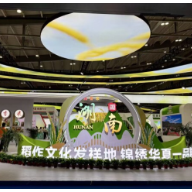 烟火里的粮香,科技中的新章 ——第八届中国粮食交易大会开幕观察