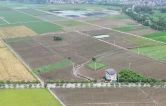 道县：抢抓秋冬种黄金期 蔬菜玉米齐落地