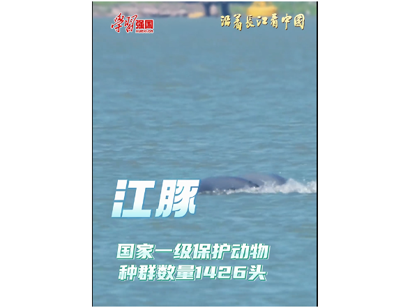 沿着长江看中国·湖南篇丨守护微笑天使 我们在行动
