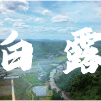 视频 | 二十四节气之白露·清润养肺