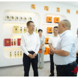 谢卫江在临湘市调研