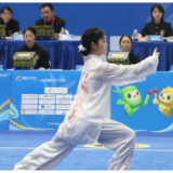 少年竞锋芒 省运会青少年组武术套路比赛在资阳收官