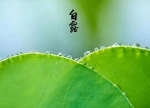 72岁奶奶晨练后干咳不止，这种“燥”要当心