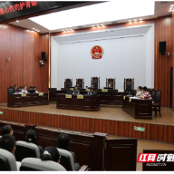 衡山县：模拟法庭沉浸式普法 法治护航青少年健康成长