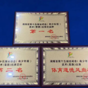 省运会武术套路株洲斩获6金，金牌全省第一