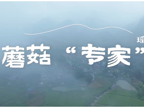 AI不可当 “菌子判官”！永州疾控：莫把AI当专家，误食毒菇危及生命