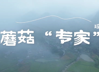 AI不可当 “菌子判官”！永州疾控：莫把AI当专家，误食毒菇危及生命