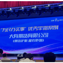大有期货：十年铸一剑，乡村振兴创“期”迹