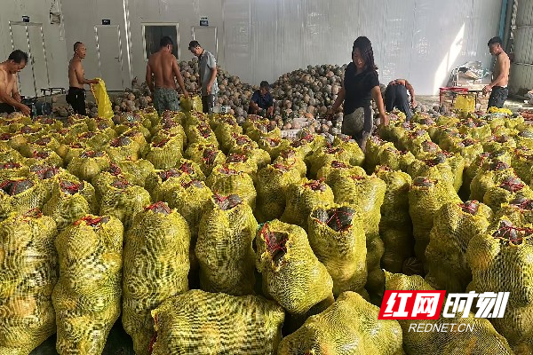 微信图片_20260907093709_19_1031.jpg