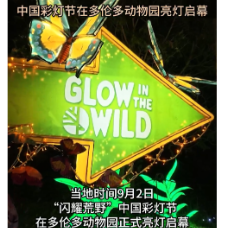 中国彩灯节在多伦多动物园亮灯启幕