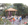海外华文媒体走进莽山 以国际视角讲好宜章文旅故事